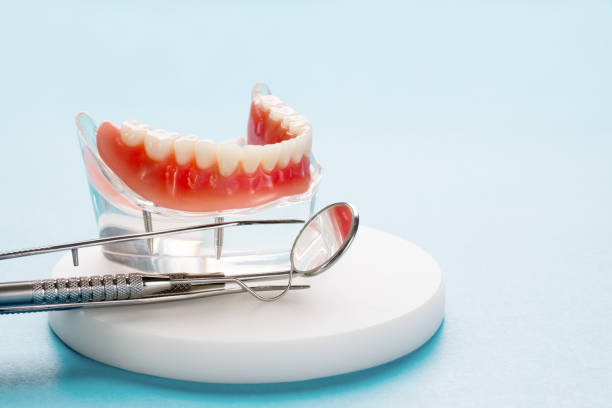Professional  Holistic Dental Services in Verona, WI
